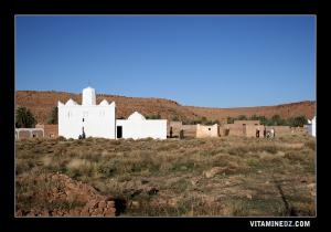 Marabouts de Assla, Sidi Ettoumi, fils de Sid Ahmed El Mejdoub
