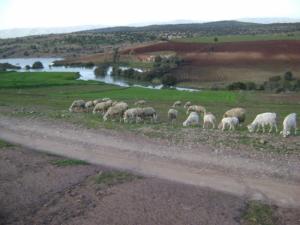 La commune de Zeddine, Ain Defla