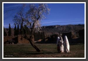 Femmes en Hayek à Mansourah, 1955