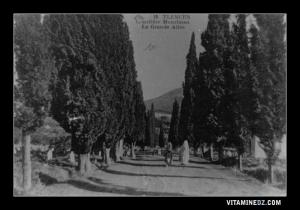 Cimetière Sidi Senoussi de Tlemcen