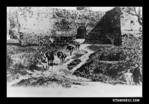 Remparts de Tlemcen : Bab El Kermadine