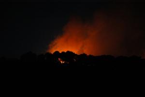 Doumia : feux de forêts