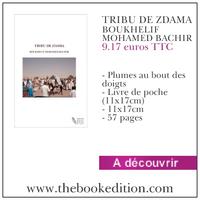 PROMOTION DE MON LIVRE 6 LA TRIBU DE ZDAMA