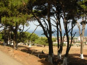 souvenirs de bouharoun