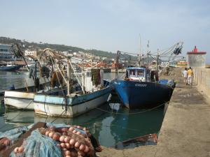 Souvenirs de Bouharoun