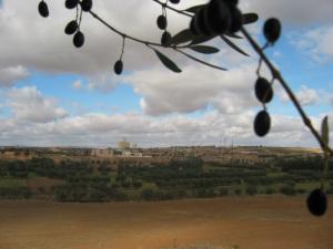 TABIA SOUS LES NUAGES