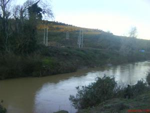 oued elguergour