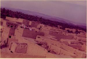vue de  Sidi Okba depuis le minaret