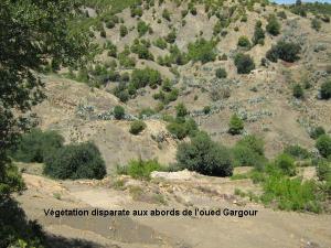 Besnès:oued Gargour