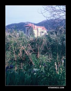 Chateau Mitch en 1960