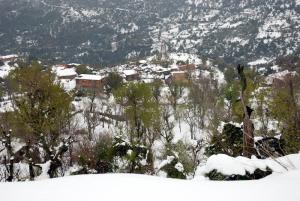 Le village de Tighilt sous la neige, Béjaia