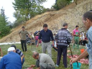 Louziaa au quartier Aghlad -Lemroudj .