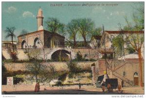 TIARET  / FONTAINE DU FIGUIER ET LA MOSQUEE A    ///   REF23954