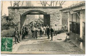 CPA ALGERIE TIARET QUARTIER DE LA JUMENTERIE 1909 peu fréquente