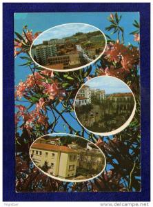 ALGERIE / ALGERIEN    Souvenir de Tiaret