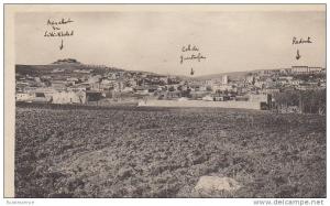 TIARET /    /////    REF22528