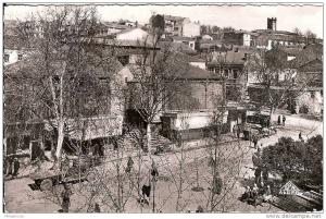 CPSM PM Algérie  Tiaret place Lamoriciere et marché couvert