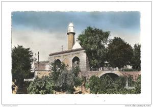 cp, Algérie, Tiaret, La Mosquée, voyagée 1954