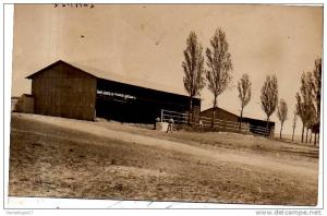 CPA 96 101 ALGERIE TIARAT signée MARCELLE CHEVET