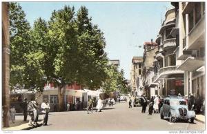 ALGERIE - TIARET - La Rue Albert Soler