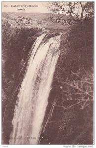 125 - TIARET PITTORESQUE - Cascade     (1 coin cassé)