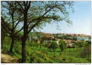 ALGERIE / ALGERIEN   Tiaret    Vue generale