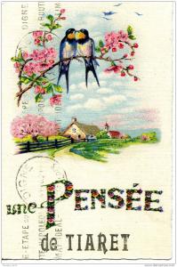 UNE PENSEE DE TIARET ....CPA