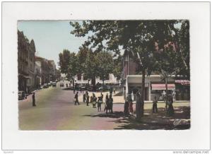 Algérie Tiaret  la rue Cambon animée personnes voitures anciennes belle carte dentelée écrite en 1963