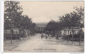 cpa  algerie  tiaret l avenue escoffier