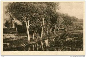 N°4938 -cpa environs de Tiaret -moulin de la Mina-