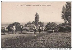 TIARET 45 JUMENTERIE ENTRAINEMENT DES PRODUITS DE 3 ANS (BELLE ANIMATION)