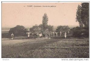 TIARET 44 JUMENTERIE RENTREE DES PADDOCKS (ANIMATION)