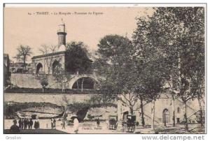 TIARET 14 LA MOSQUEE FONTAINE DU FIGUIER (PETITE ANIMATION)