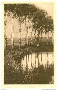 Environs de Tiaret  rivière de la Mina     (7799)