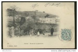 ALGERIE TIARET /  Route de la pépinière    /