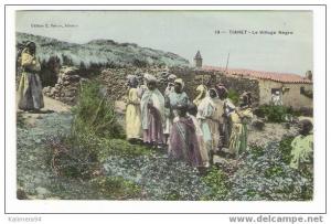 ALGERIE  /  TIARET  ( près d´ORAN ) /  LE  VILLAGE  NÈGRE  ( belle animation ! )  /  Editeur  E. FOISSY  n° 19