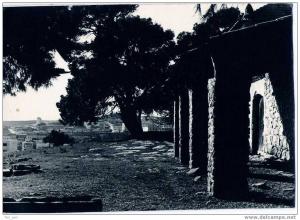 TIARET - CARTE-PHOTO - lire le 2éme scan