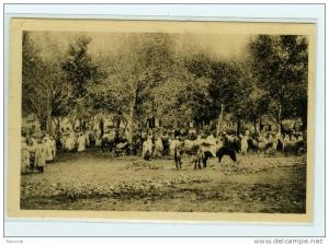 TIZI OUZOU     LE MARCHE