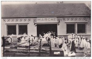 ALGERIE - TIZI RENIF - LE MARCHE  - CPSM.PF