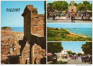 Algérie- TIGZIRT muti vues (Tizi Ouzou )  (philatélie timbre stamp oblitération  Algérie-Malus Communis