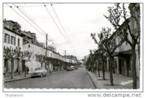 ALGER-EL-BIAR- AVENUE GEORGES CLEMENCEAU-animée Aronde, citroene....