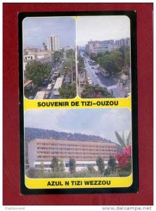CPSM ALGERIE - Souvenir de Tizi Ouzou -  Excellent Etat - ALGERIA AFRIQUE AFRICA Card Carte