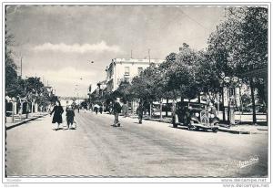 algérie -  TIZI  OUZOU - avenue   ferdinand  aillaud (  POMPE SHELL et  CITROEN C6 )