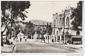 ALGERIE - cpsm TIZI OUZOU - bld bauprètre et banque de l´algérie - combier à macon - d17 880