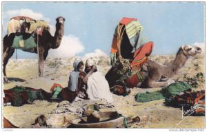 AFRIQUE,AFRICA,ALGERIE FRANCAISE,KABYLIE,AGOUNI GUEGHRANE,AGHNI GOUGHRANE,TIZI OUZOU,CAMPEMENT,NOMADES
