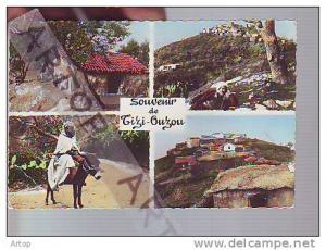 T / CPSM TIZI OUZOU ALGERIE