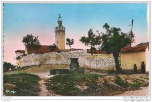 algérie -  TIZI - OUZOU - la mosquée lalla - saida (  voir le  verso timbre FM 1956   cachet militaire  )