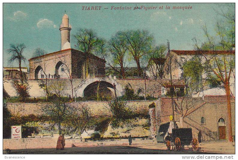 TIARET  / FONTAINE DU FIGUIER ET LA MOSQUEE A    ///   REF23954