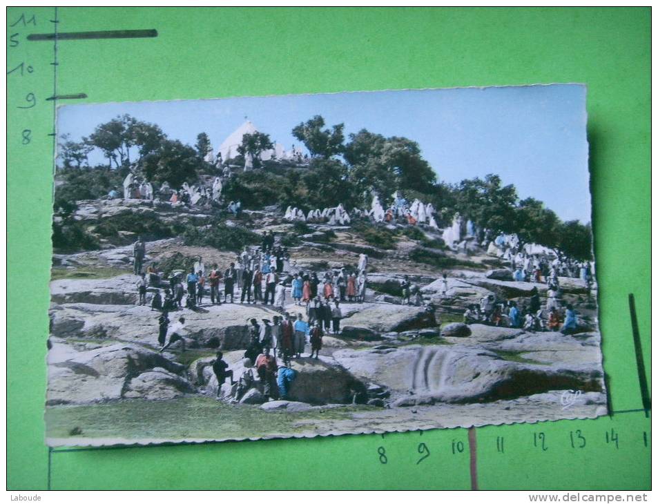 37) tiaret  le marabout un jour de fete  dentelee  (couleurs differentes !!)