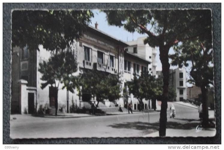 CPSM ALGERIE - TIARET - LA POSTE - ecrite -